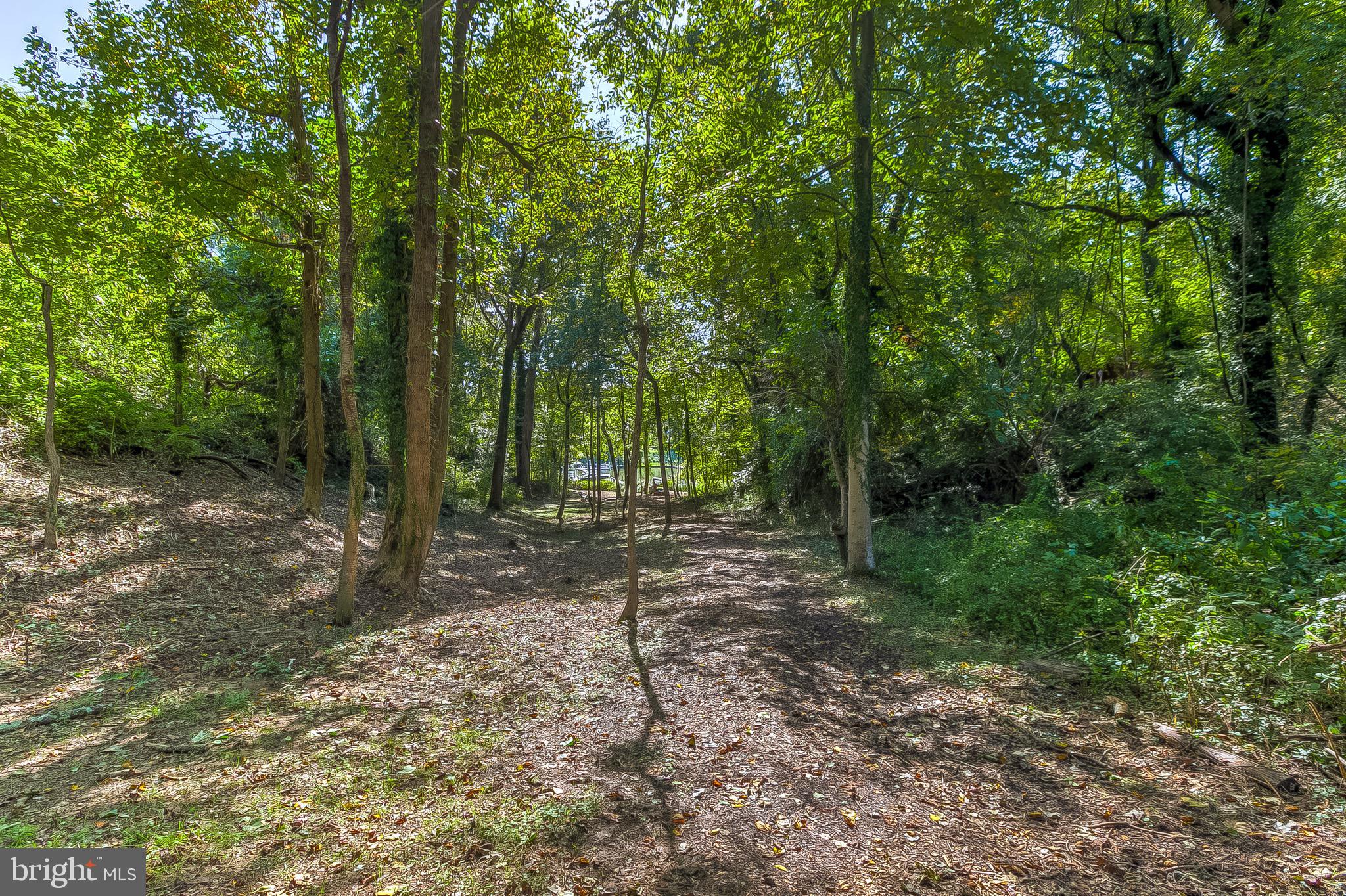 397 Forest Beach Road Annapolis, MD 21409 - Photo 70 of 116