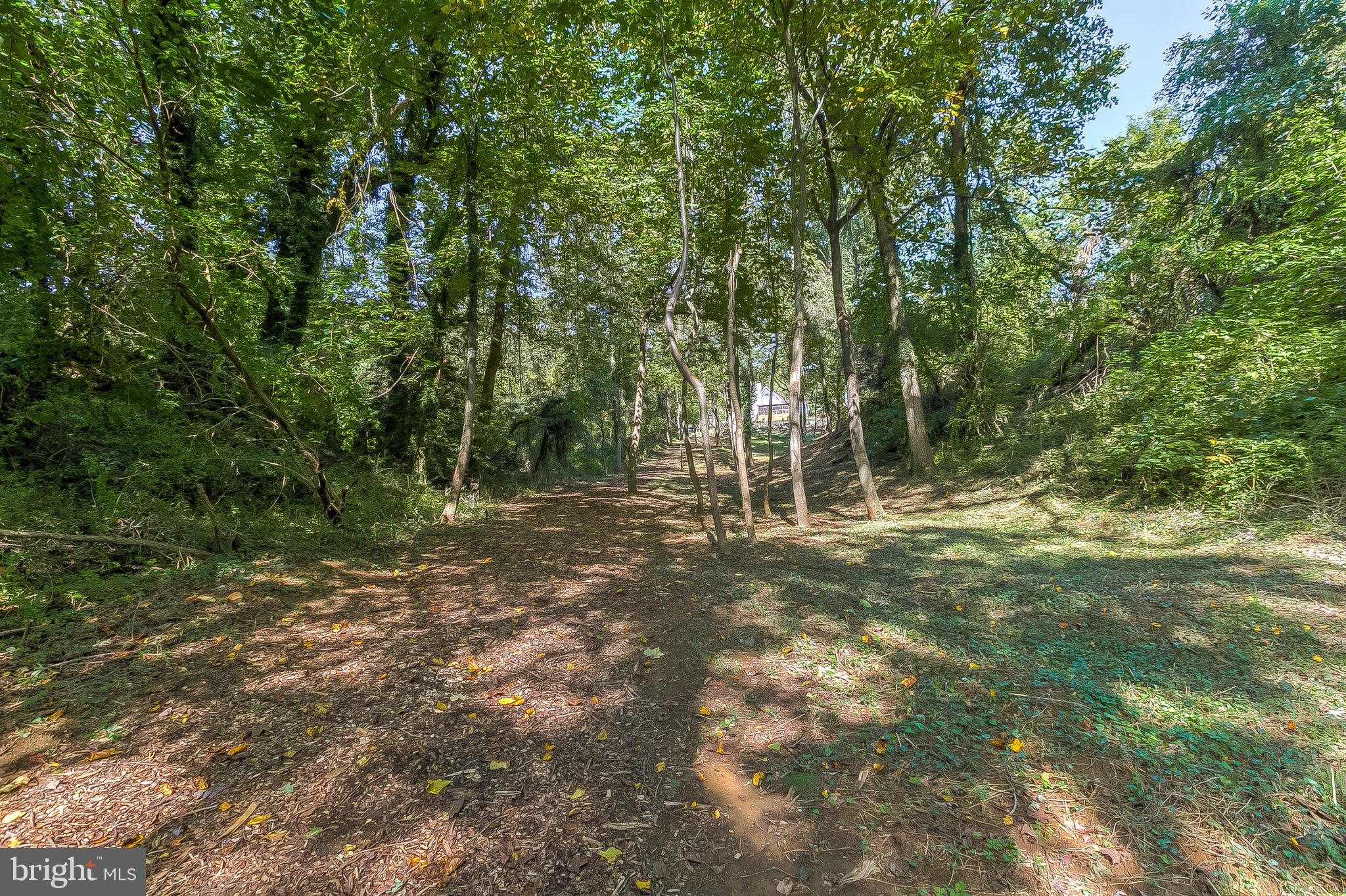 397 Forest Beach Road Annapolis, MD 21409 - Photo 89 of 116