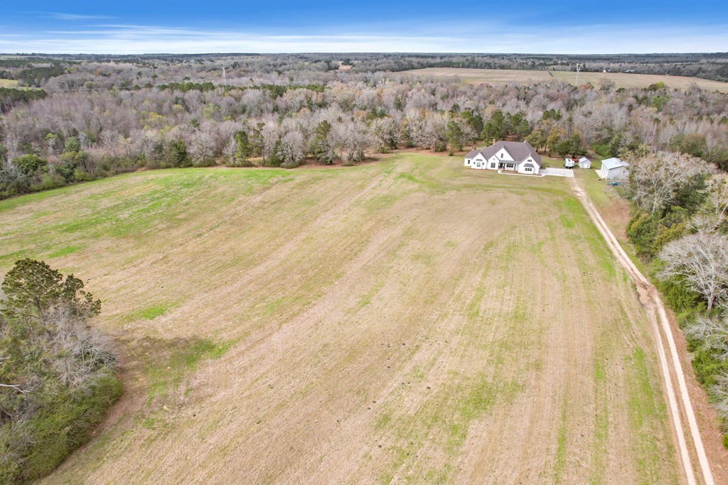 1335 Strong Road Ashford, AL 36312 - Photo 80 of 95