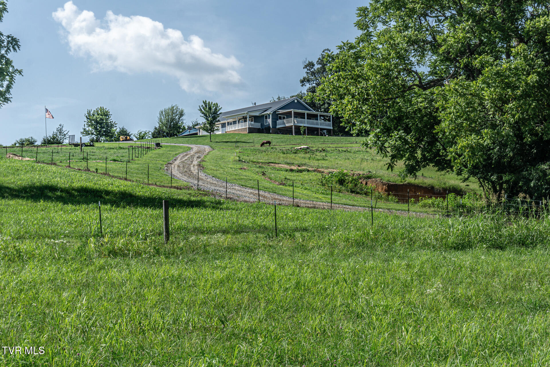 255 Jeffers Lane Limestone, TN 37681 - Photo 65 of 70 255JeffersLnL_055