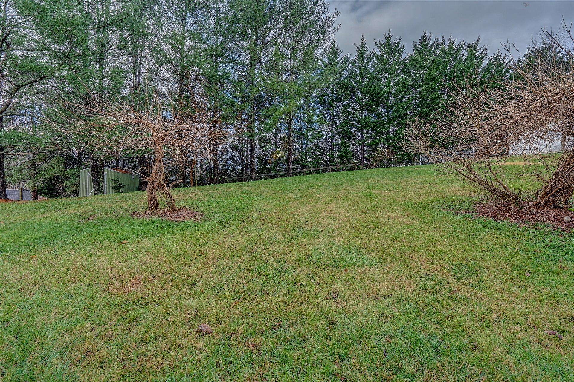 702 Diamond Road Salem, VA 24153 - Photo 27 of 28 Back Yard Storage Shed