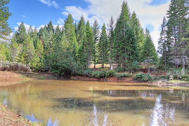1588 Lone Mountain Road O'Brien, OR 97534 - Photo 22 of 23 Additional Photo