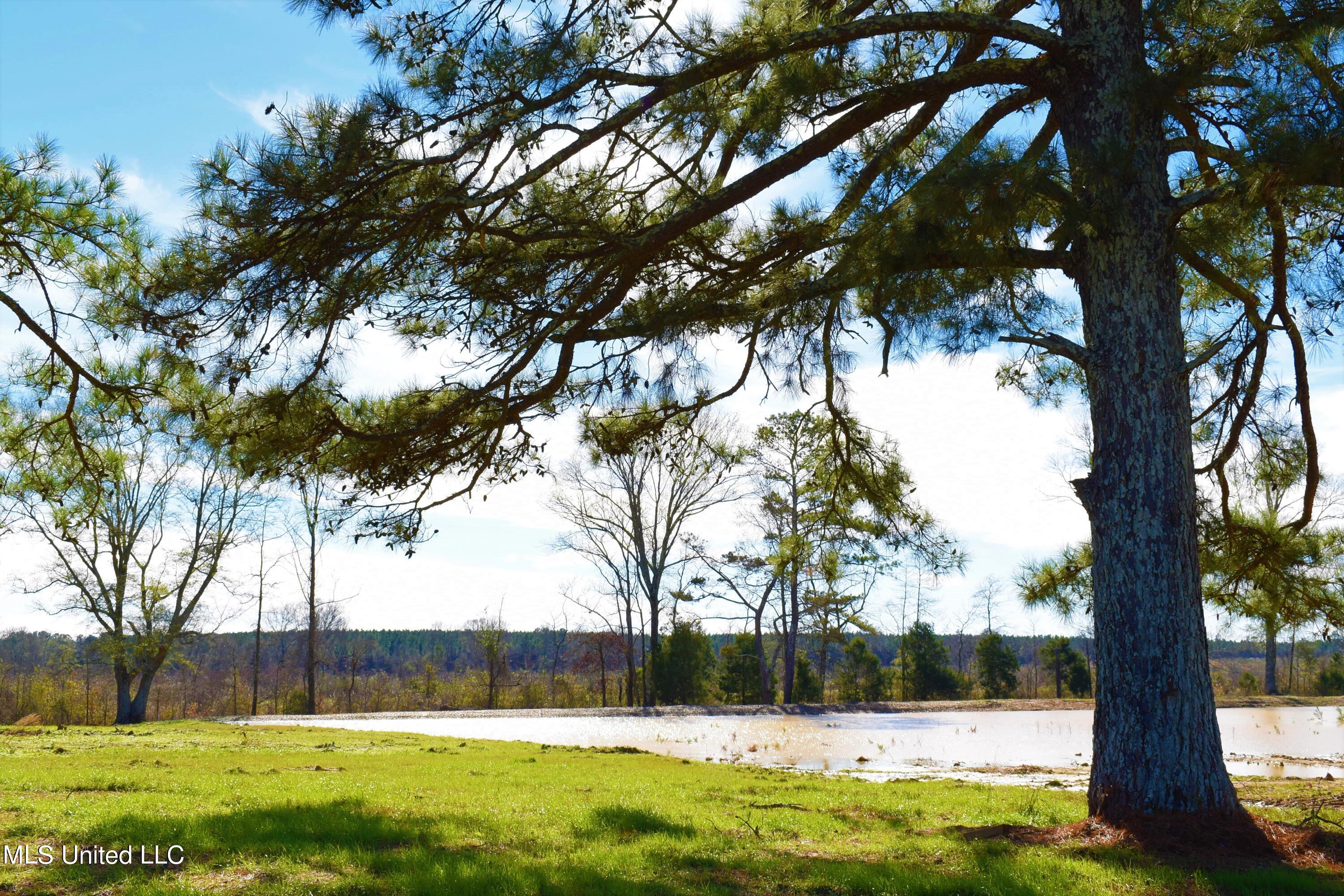 147 J C Prestage Road Morton, MS 39117 - Photo 12 of 49 DSC_0247