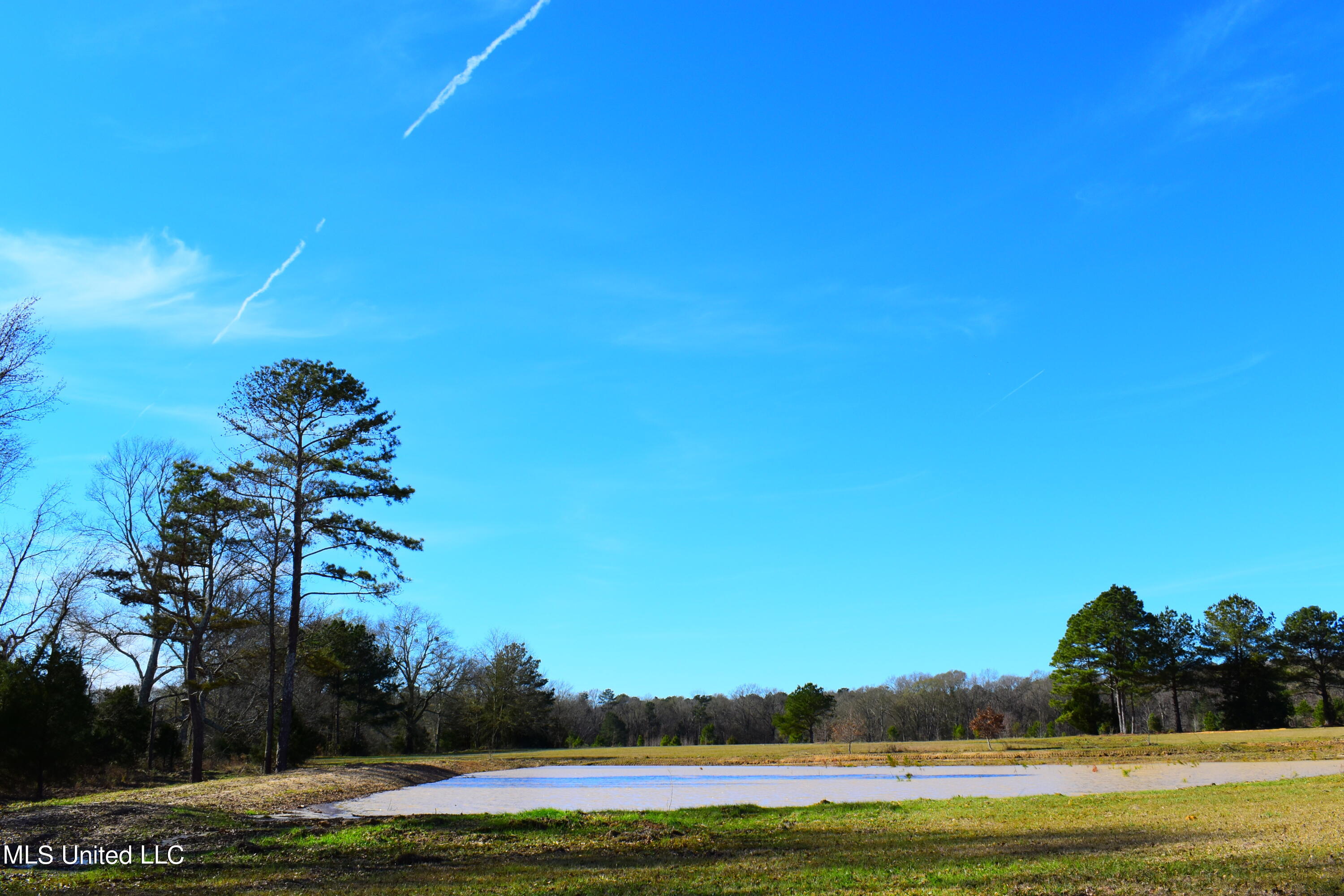147 J C Prestage Road Morton, MS 39117 - Photo 14 of 49 DSC_0256
