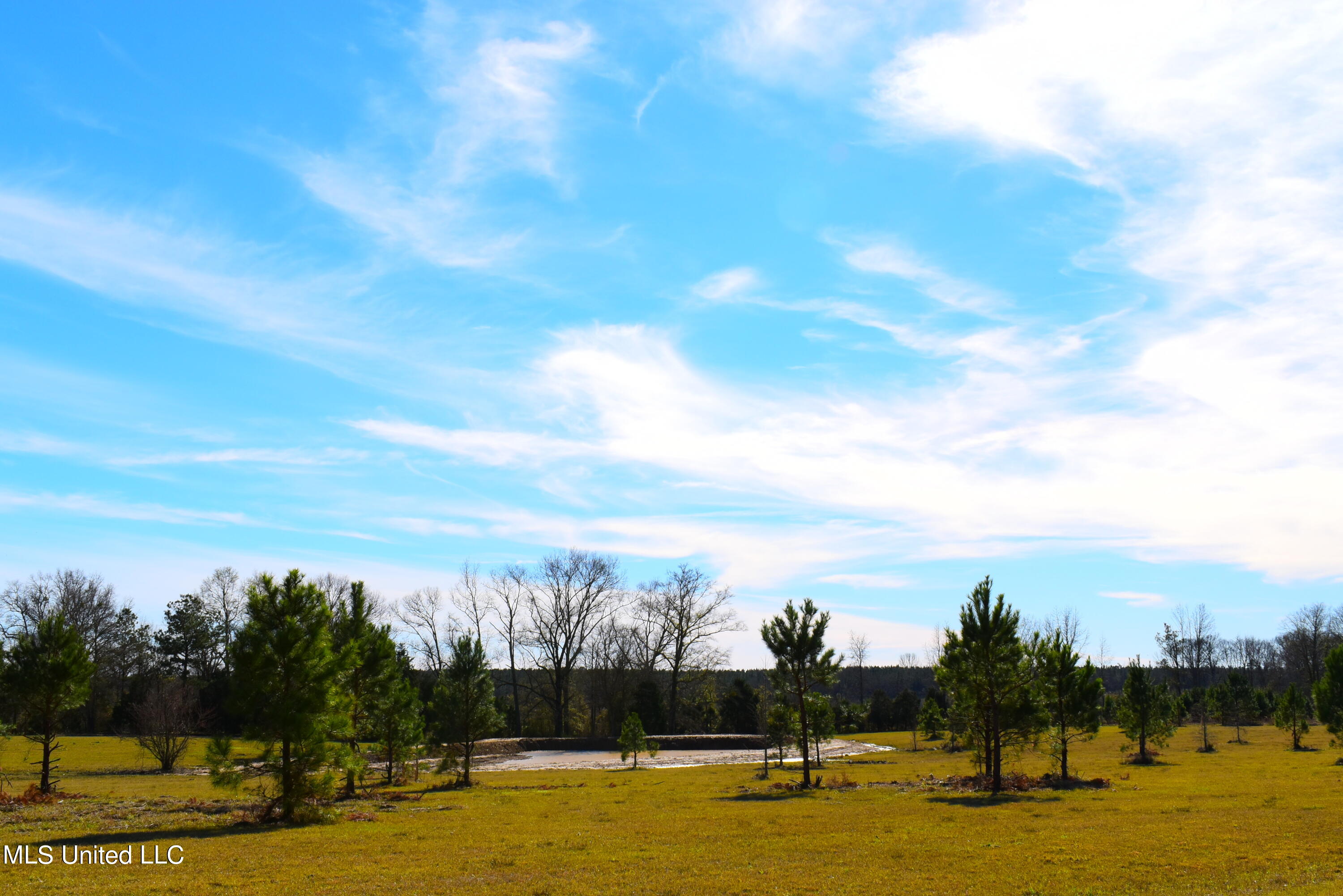 147 J C Prestage Road Morton, MS 39117 - Photo 17 of 49 DSC_0264