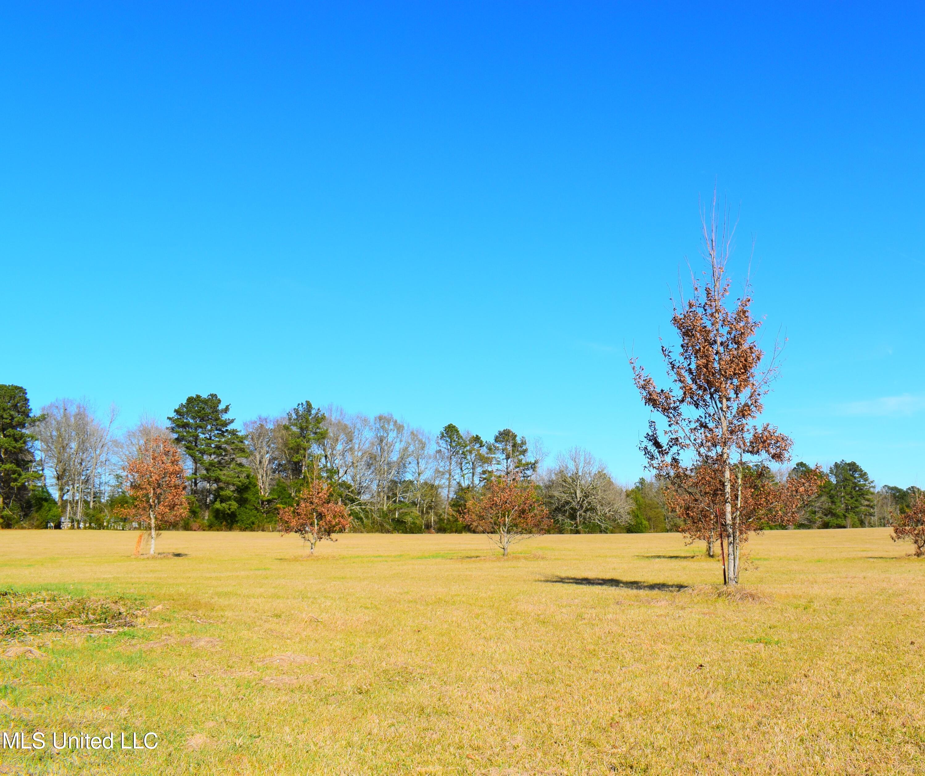 147 J C Prestage Road Morton, MS 39117 - Photo 18 of 49 DSC_0266