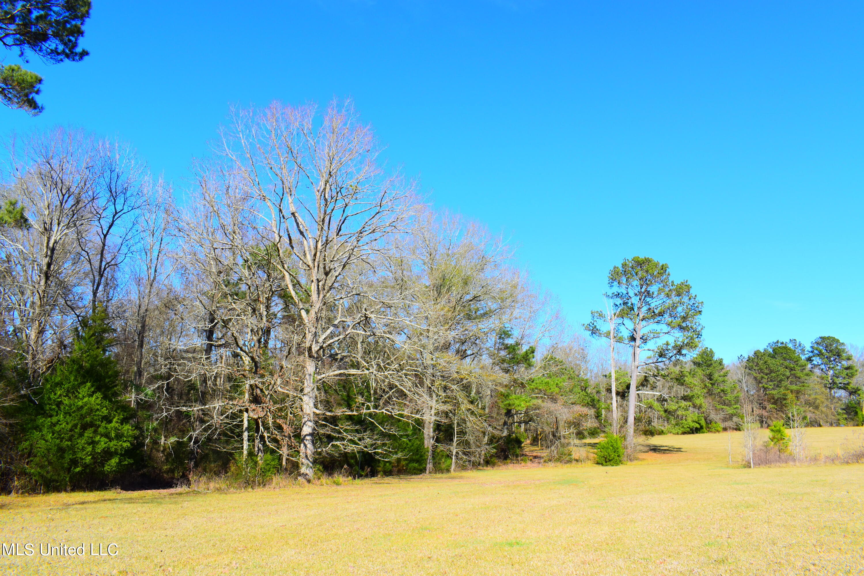 147 J C Prestage Road Morton, MS 39117 - Photo 19 of 49 DSC_0267
