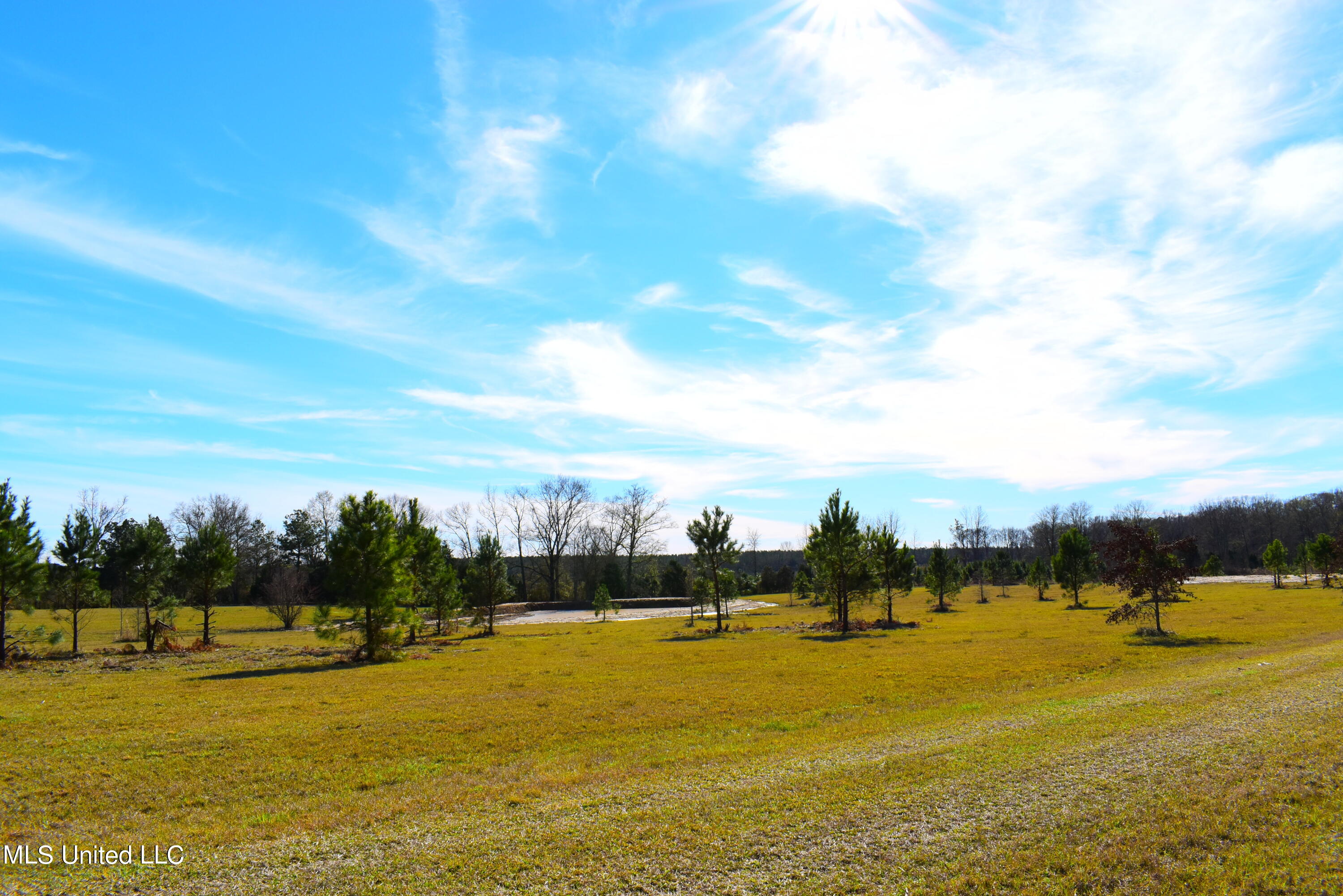 147 J C Prestage Road Morton, MS 39117 - Photo 21 of 49 DSC_0265
