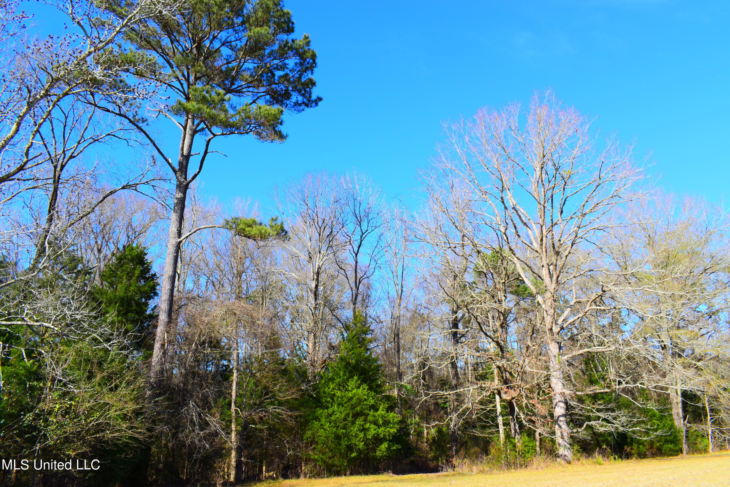 147 J C Prestage Road Morton, MS 39117 - Photo 22 of 49 DSC_0269