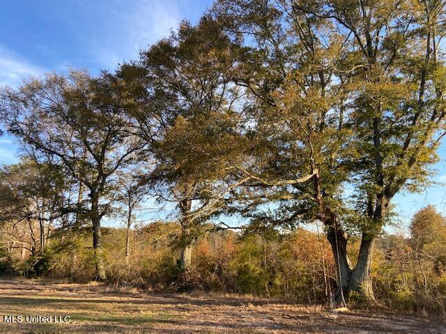147 J C Prestage Road Morton, MS 39117 - Photo 25 of 49 IMG_3276