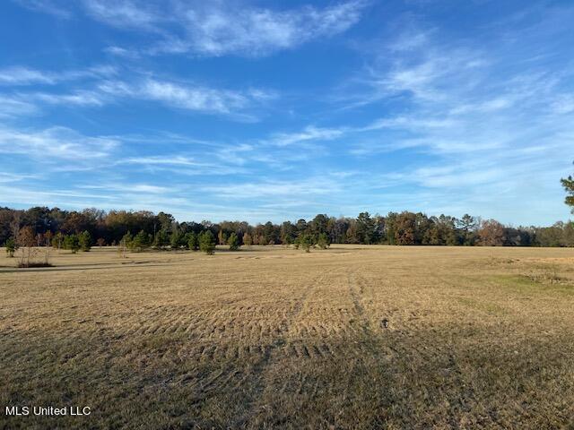 147 J C Prestage Road Morton, MS 39117 - Photo 27 of 49 IMG_3272