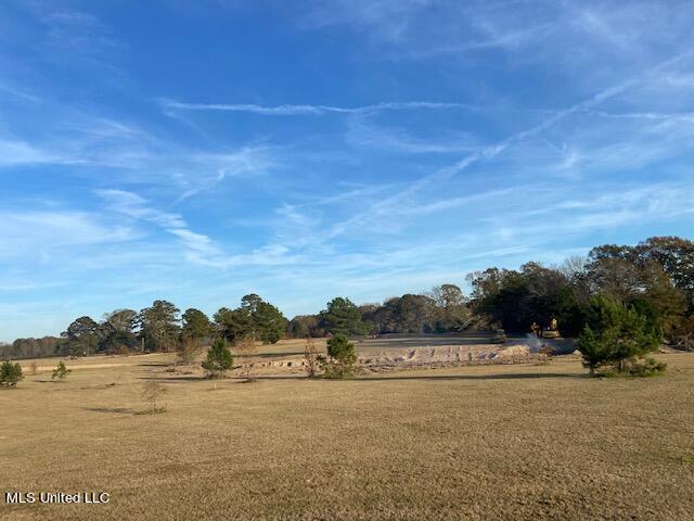 147 J C Prestage Road Morton, MS 39117 - Photo 28 of 49 IMG_3271