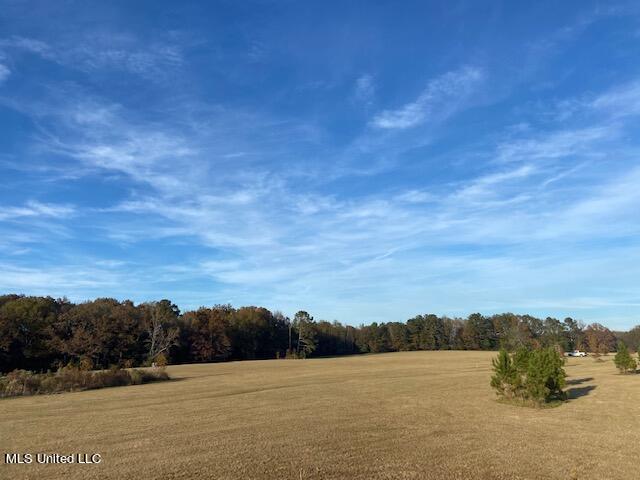 147 J C Prestage Road Morton, MS 39117 - Photo 29 of 49 IMG_3270