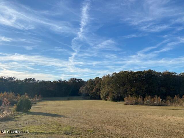 147 J C Prestage Road Morton, MS 39117 - Photo 30 of 49 IMG_3268