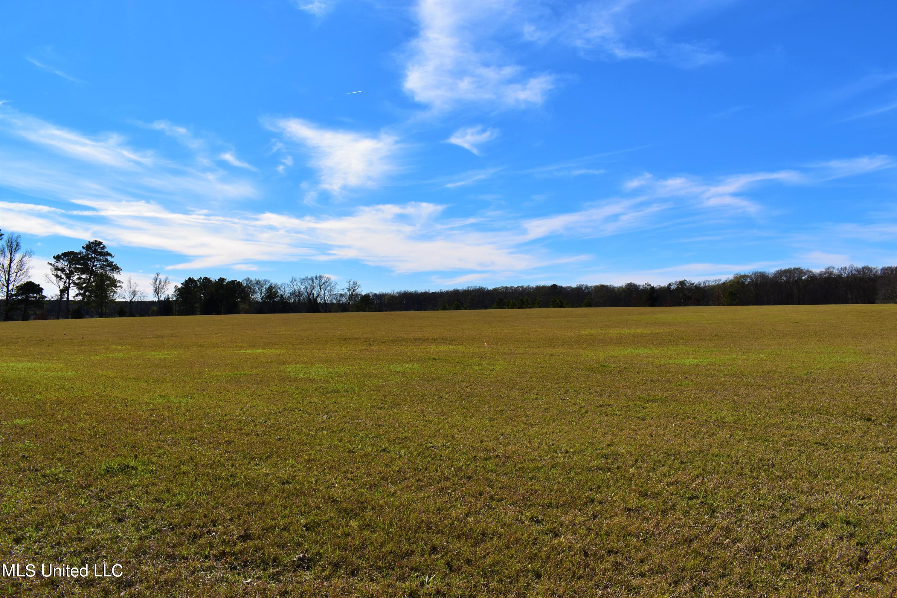 147 J C Prestage Road Morton, MS 39117 - Photo 8 of 49 DSC_0236