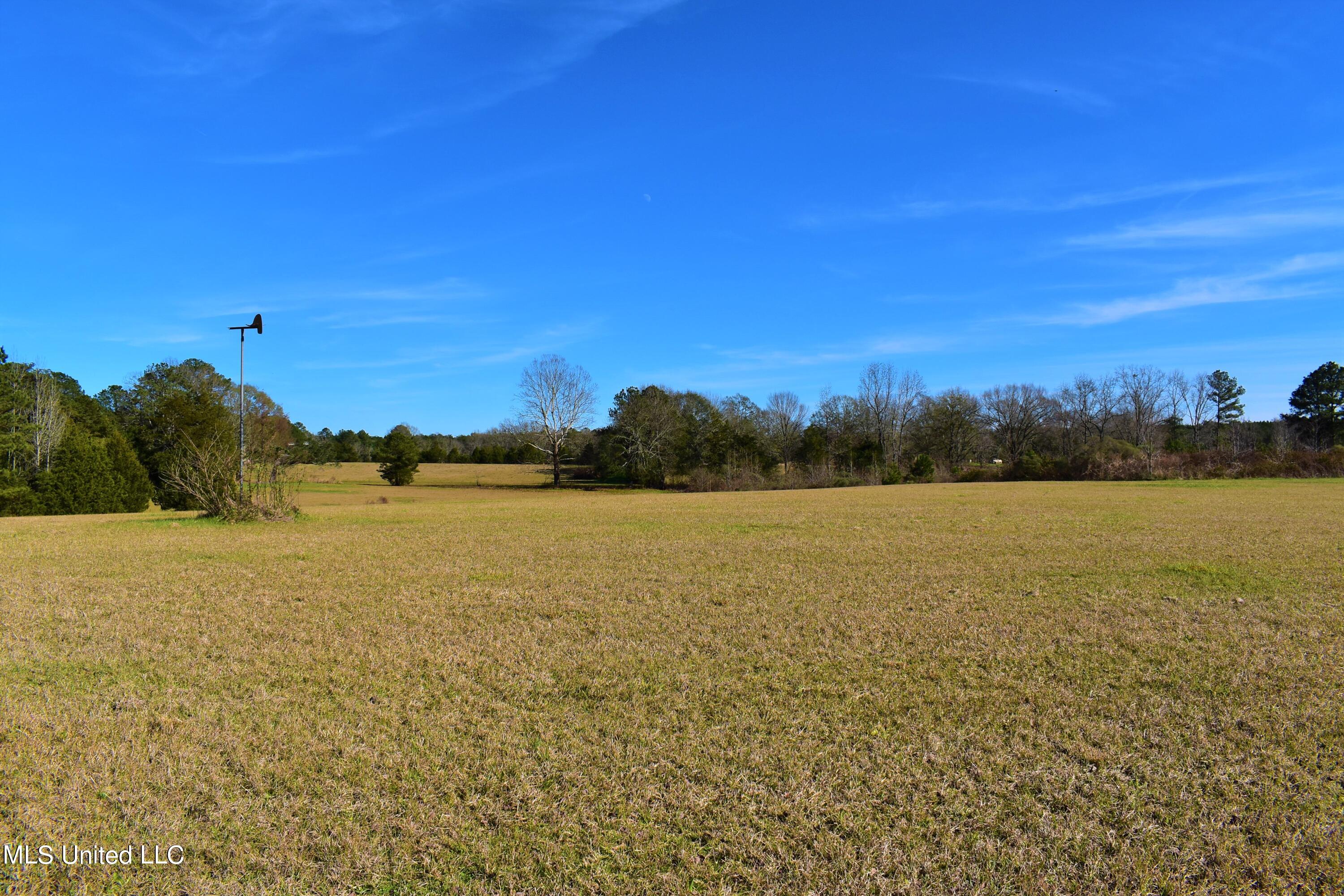 147 J C Prestage Road Morton, MS 39117 - Photo 10 of 49 DSC_0240