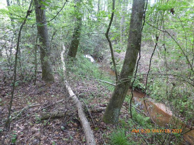 Lot 2 Irving Road Monetta, SC 29105 - Photo 1 of 3