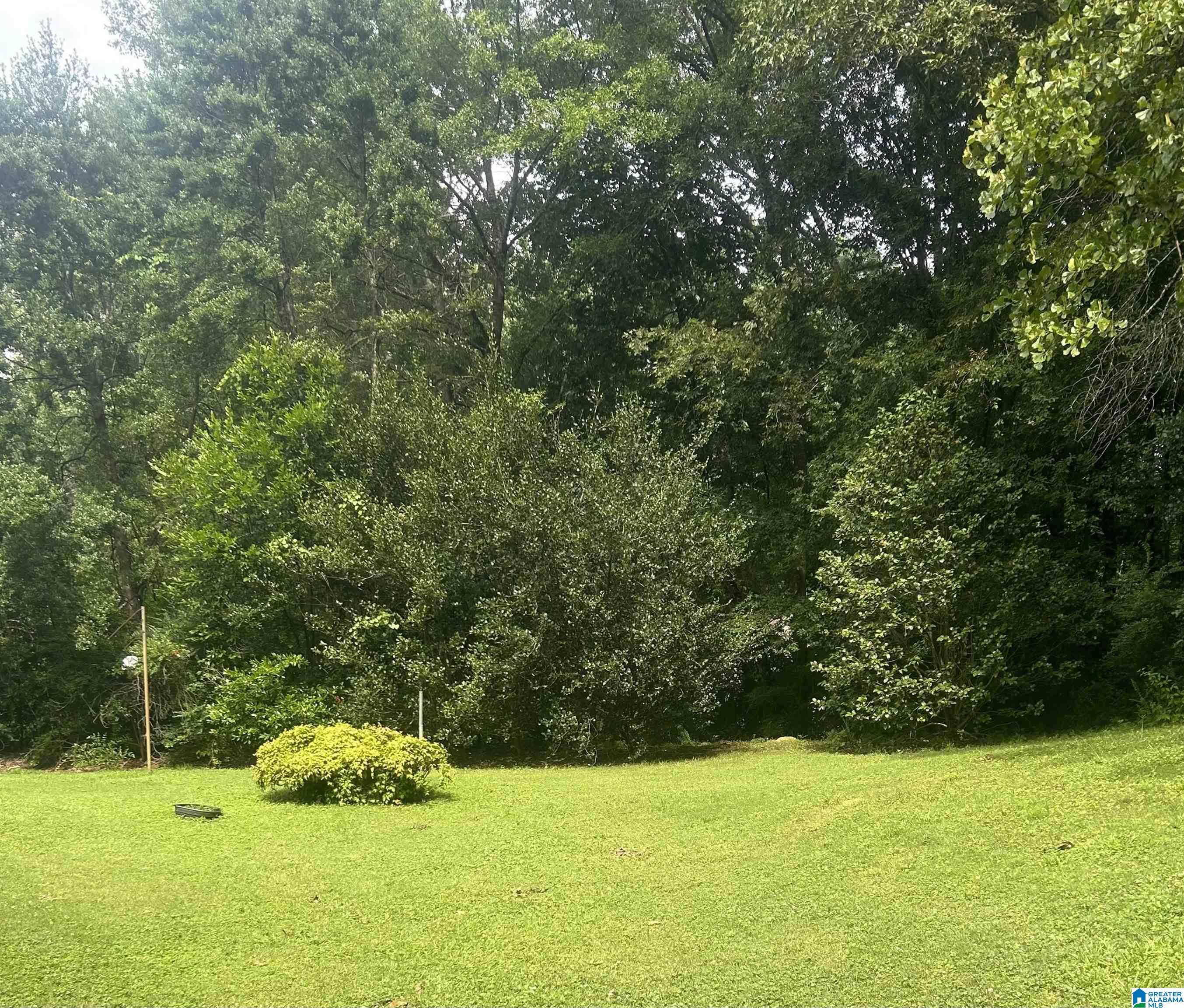 719 Lang Road Sylacauga, AL 35150 - Photo 48 of 50