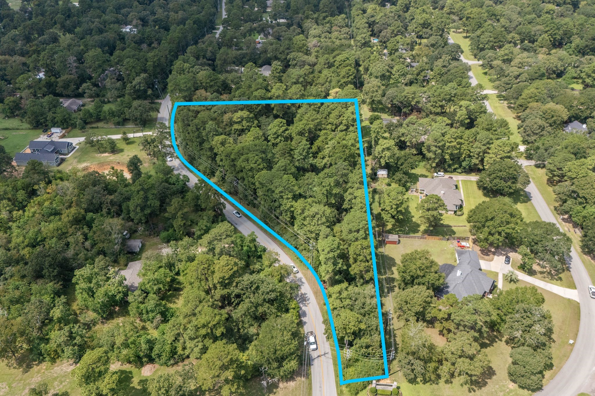 a view of a forest from a balcony