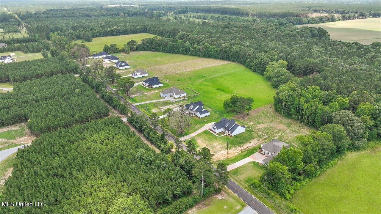 154 Harrell Road Pelahatchie, MS 39145 - Photo 45 of 72 44-154 Harrell Rd