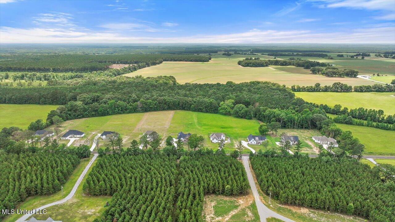 154 Harrell Road Pelahatchie, MS 39145 - Photo 47 of 72 46-154 Harrell Rd