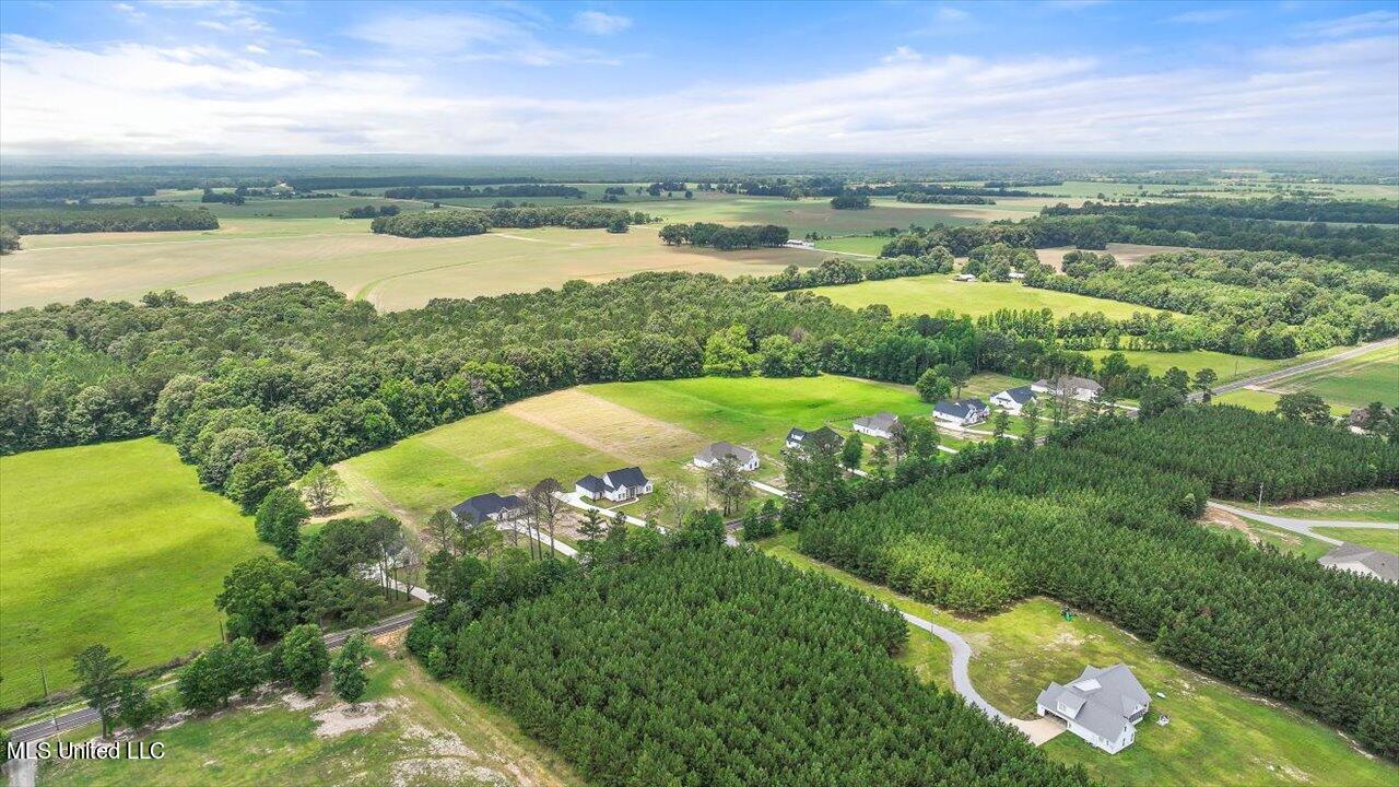 154 Harrell Road Pelahatchie, MS 39145 - Photo 48 of 72 47-154 Harrell Rd