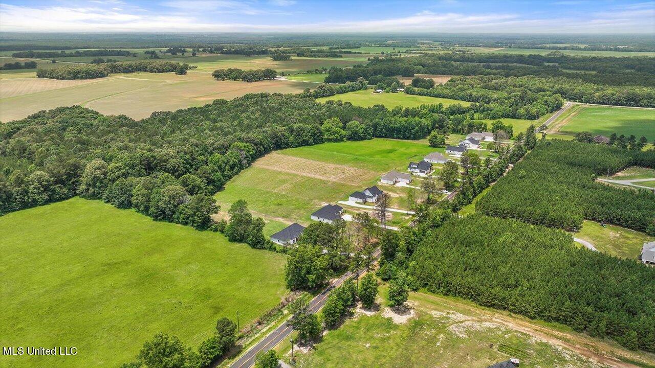 154 Harrell Road Pelahatchie, MS 39145 - Photo 49 of 72 48-154 Harrell Rd