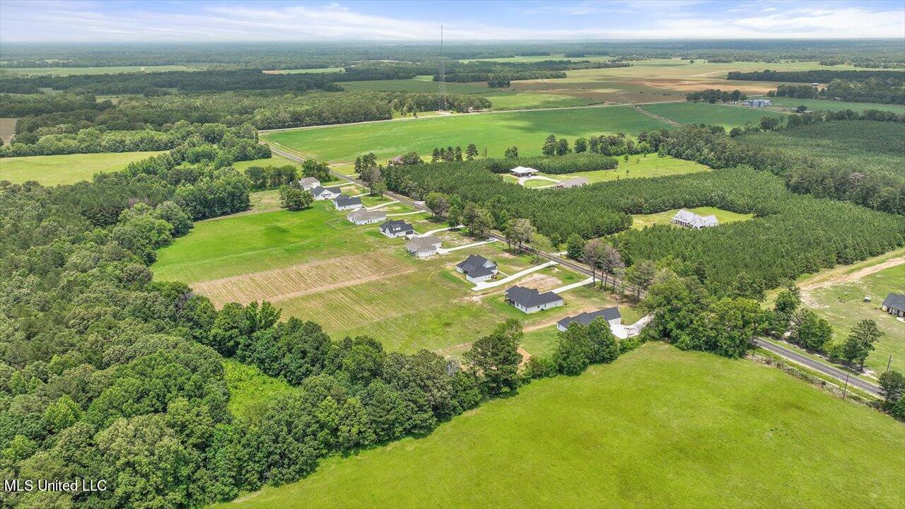 154 Harrell Road Pelahatchie, MS 39145 - Photo 50 of 72 49-154 Harrell Rd