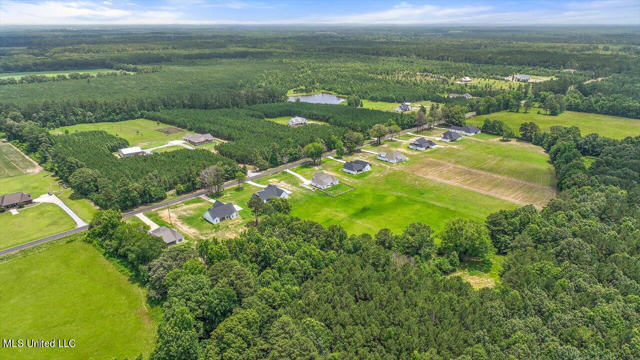 154 Harrell Road Pelahatchie, MS 39145 - Photo 54 of 72 53-154 Harrell Rd