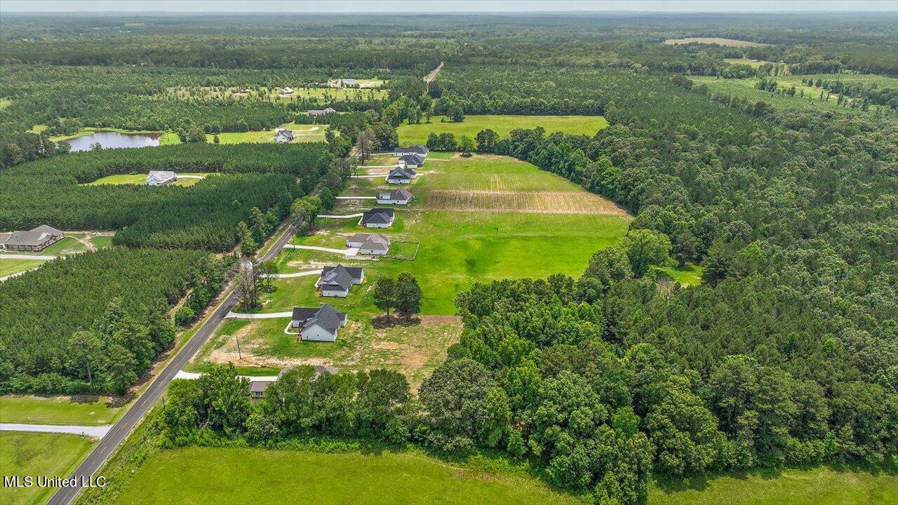 154 Harrell Road Pelahatchie, MS 39145 - Photo 55 of 72 54-154 Harrell Rd
