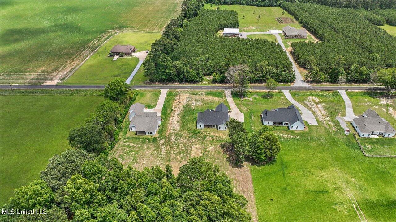 154 Harrell Road Pelahatchie, MS 39145 - Photo 61 of 72 60-154 Harrell Rd
