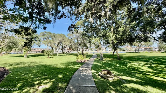 a view of a garden with palm trees