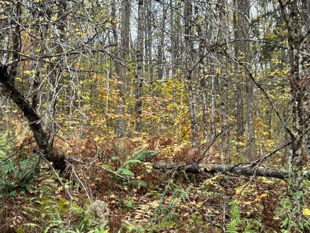 62 Foundry Road Tunbridge, VT 05077 - Photo 4 of 9