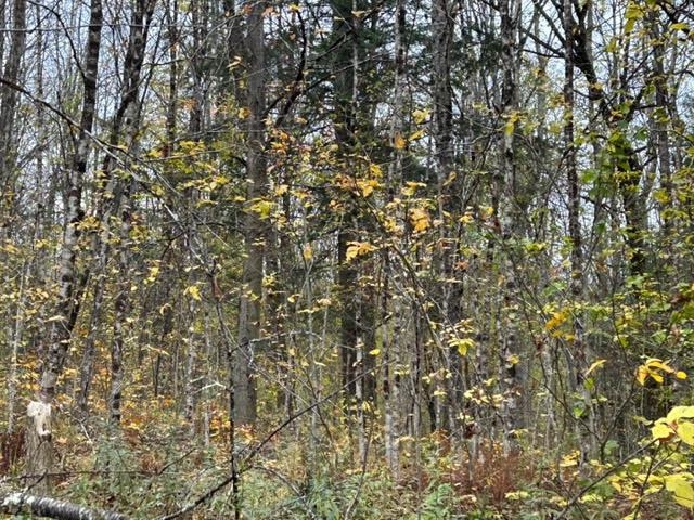 62 Foundry Road Tunbridge, VT 05077 - Photo 5 of 9