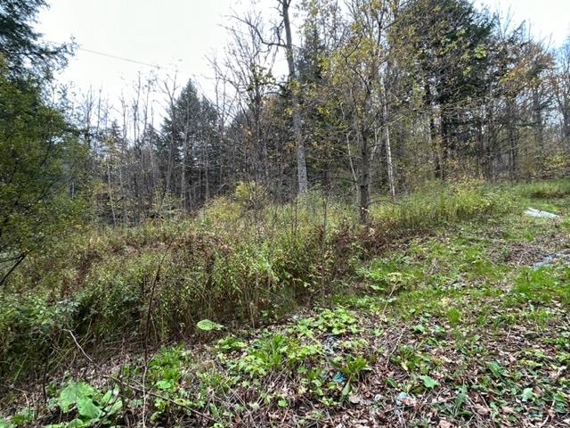 62 Foundry Road Tunbridge, VT 05077 - Photo 8 of 9