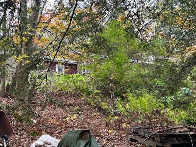 62 Foundry Road Tunbridge, VT 05077 - Photo 9 of 9