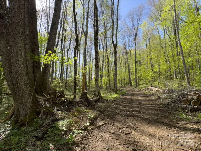 a view of backyard with green space