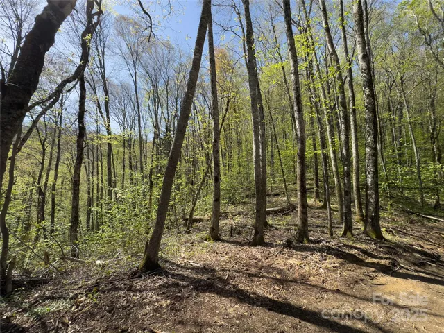 $117,500 | Lot 64 Big Springs Trail, Unit 64, Cherokee, NC 28719