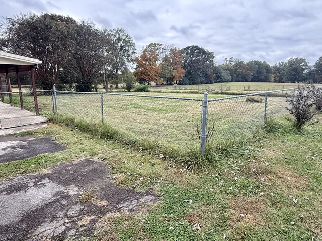 a view of a field with trees in the background