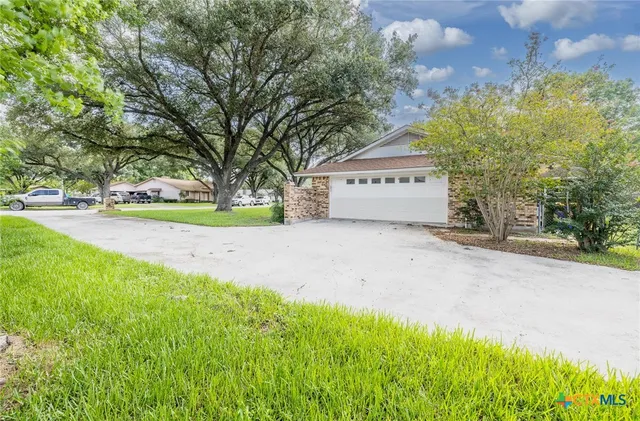 a view of a yard with plants and large trees