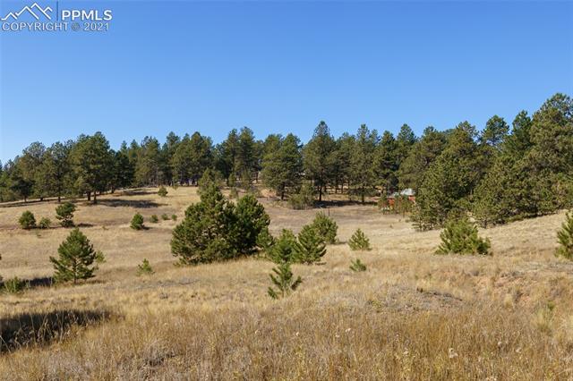 2754 Twin Rocks Road Florissant, CO 80816 - Photo 14 of 28