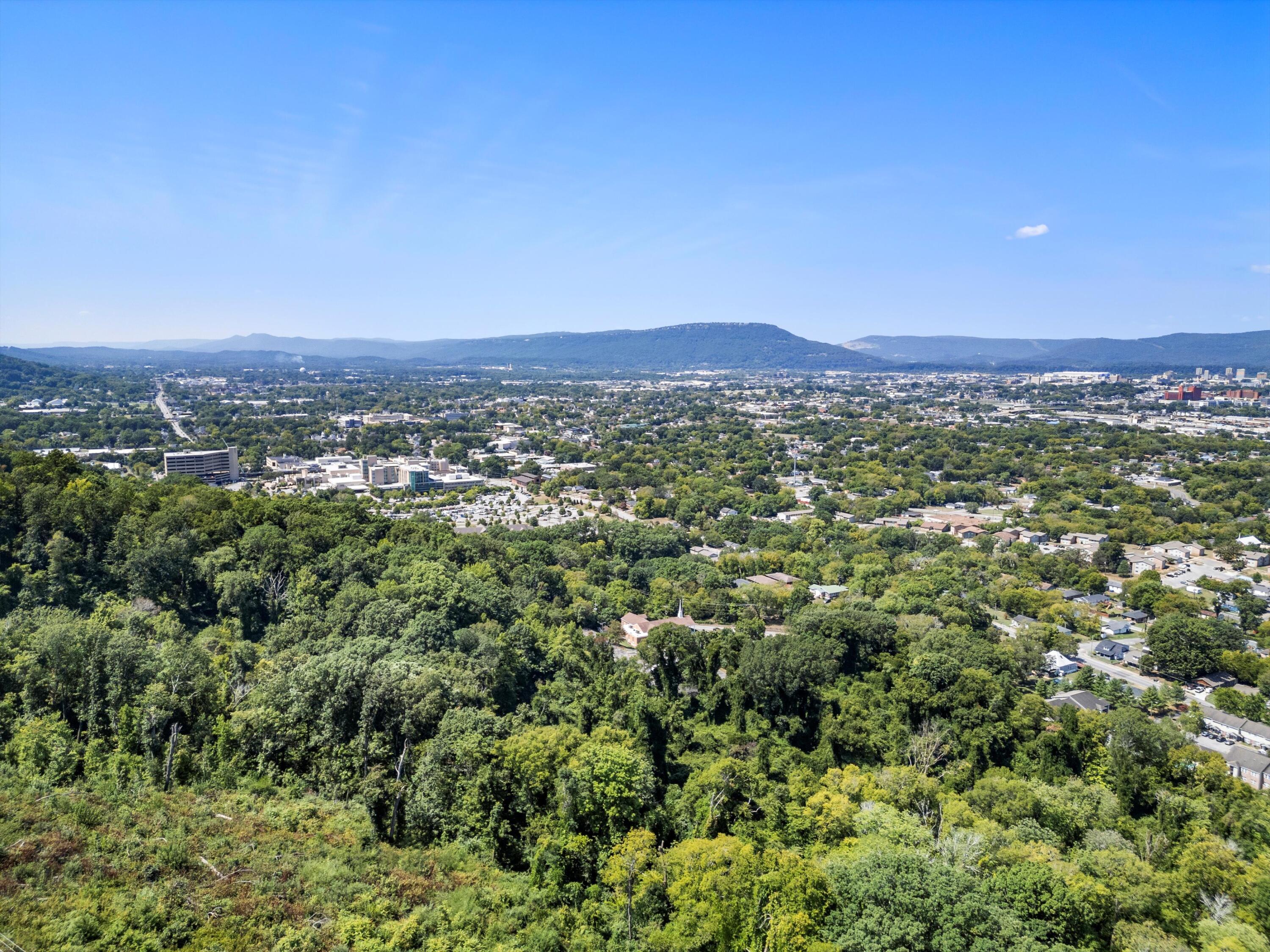 314 North Crest Road Chattanooga, TN 37404 - Photo 61 of 63 6-DJI_0130