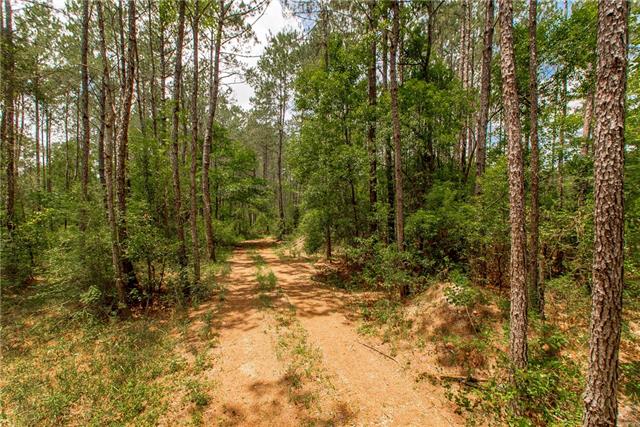 76317 Bob Levy Road Abita Springs, LA 70420 - Photo 3 of 13