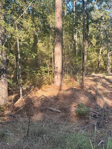 a view of open space with trees