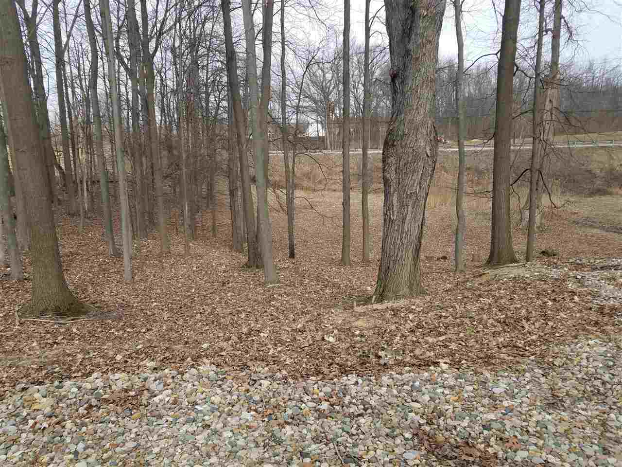 441 East Dryden Road Metamora, MI 48455 - Photo 12 of 17