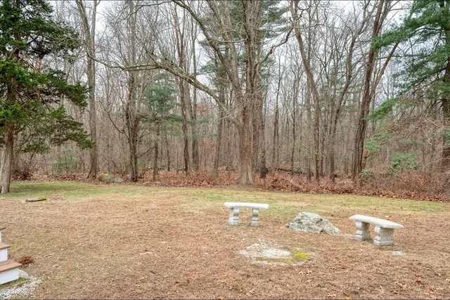 a view of a yard with large trees