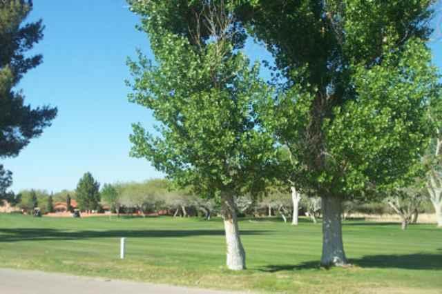 120 Avenida De Otero Rio Rico, AZ 85648 - Photo 4 of 4