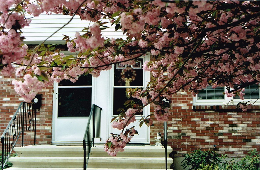 99 Durham Road, Unit 99 Dedham, MA 02026 - Photo 1 of 13 Gallery Image 1