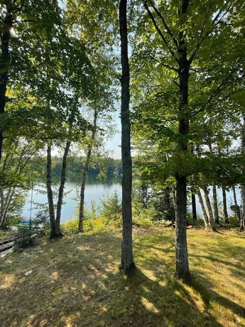 32373 West Piatt Lake Road Eckerman, MI 49728 - Photo 8 of 50 Gallery Image 8