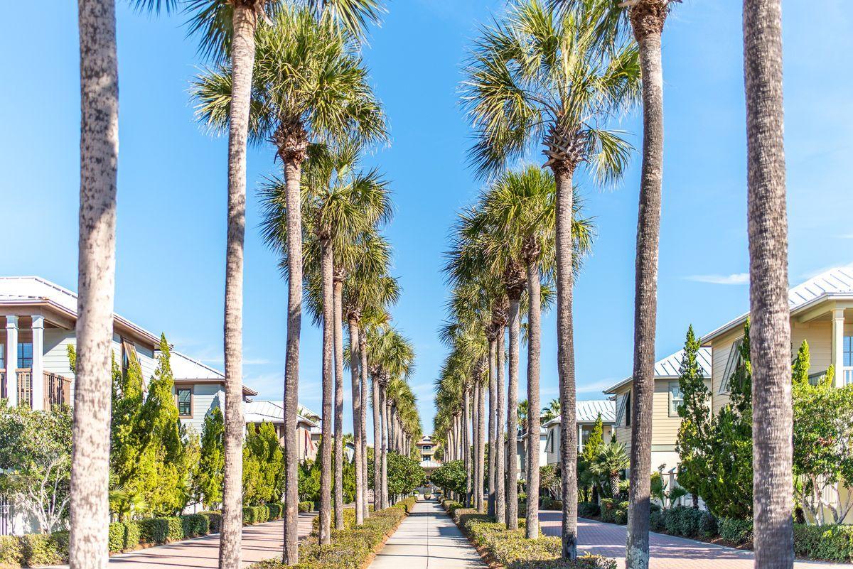 Lot 9 Beachcomber Ln Inlet Beach Inlet Beach, FL 32461 - Photo 13 of 20 a view of a city with palm trees